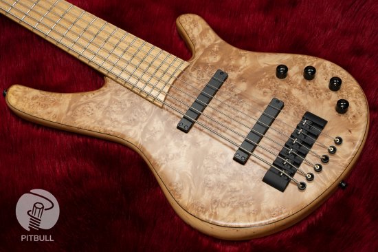 Franz Bassguitars / Wega 6st Maple Burl