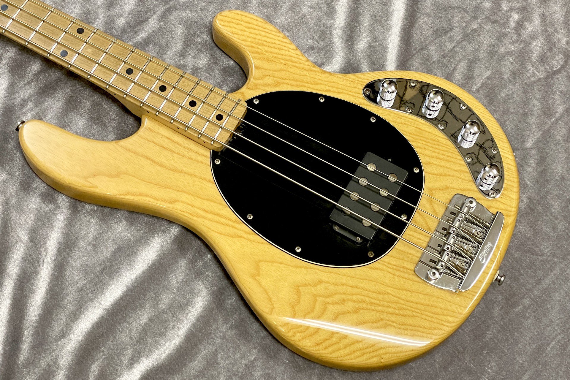 Sterling by MUSIC MAN / Ray34