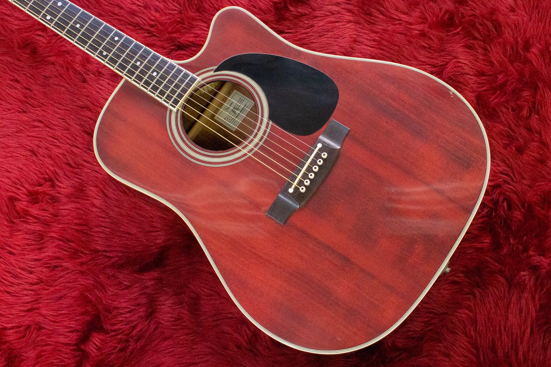 Takamine / FP-325SRC