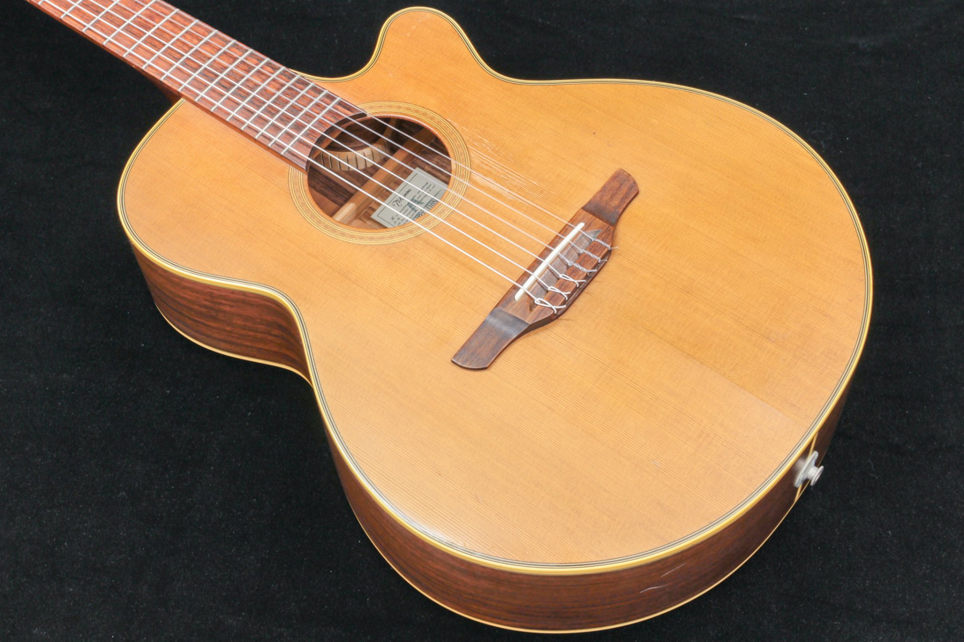 Takamine / NPT-110N