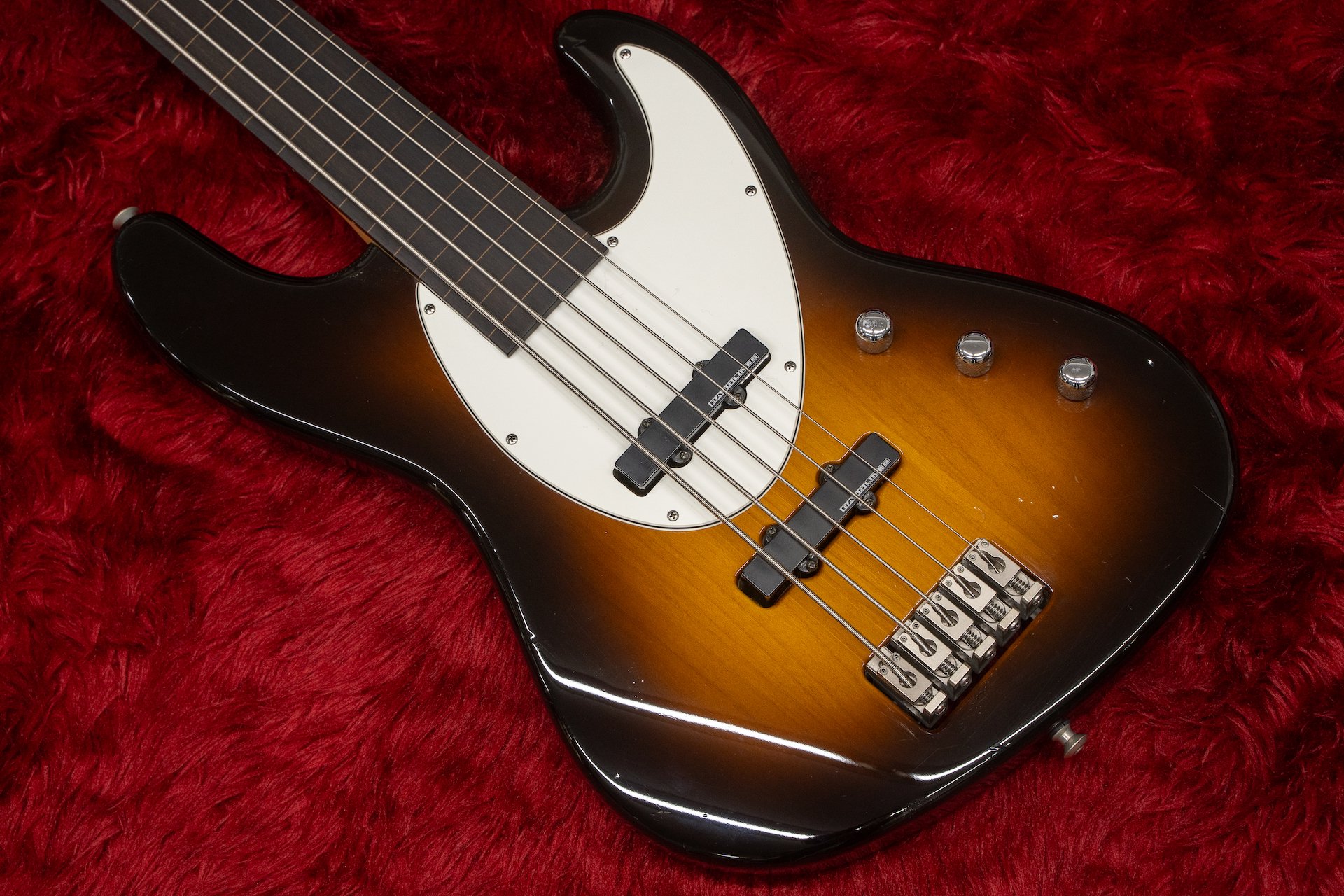 HAMER USA / 90’s Cruise Bass 5 FL